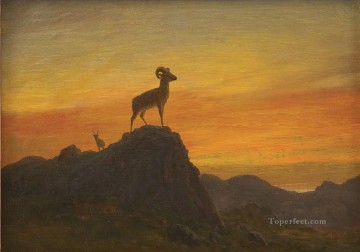 Artworks in 150 Subjects Painting - ROCKY MOUNTAIN SHEEP American Albert Bierstadt animal
